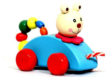Pull along Rolling Toy (Random Colour)