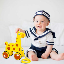 Giraffe Animal Shape Toddler Push & Pull Along Toys